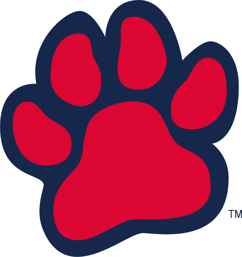 Fresno State Bulldogs 2016-2020 Alternate Logo iron on transfers for clothing